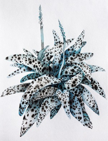 gallery/dsc00782 - copy